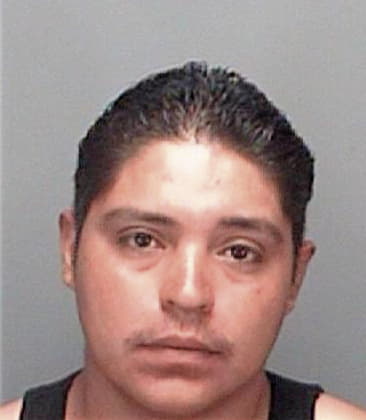 Noe Sosaflores - Pinellas County, FL 