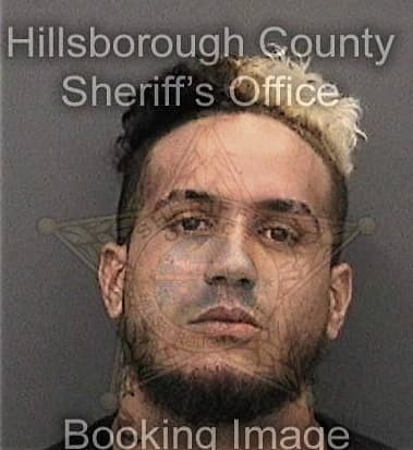 Richard Stevenson, - Hillsborough County, FL 