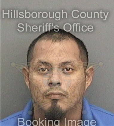 Jose Gutierrezarellanes, - Hillsborough County, FL 