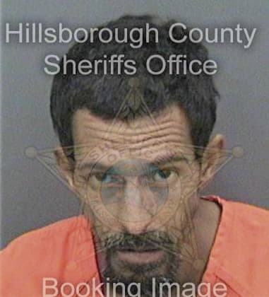 Daniel Gutierrezduenes, - Hillsborough County, FL 