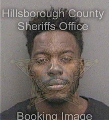Leroy Henry - Hillsborough County, FL 