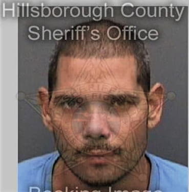 Aaron Malerba, - Hillsborough County, FL 