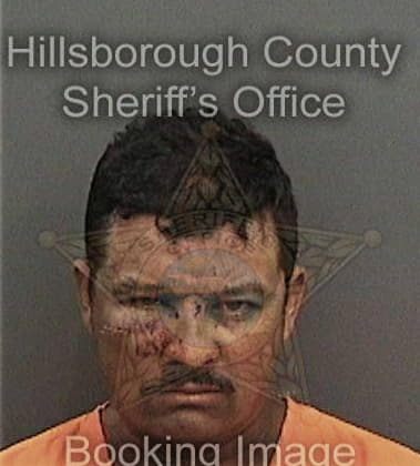 Brendan Miller - Hillsborough County, FL 