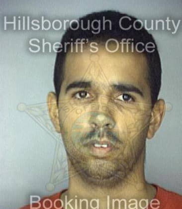 Ricardo Reyes, - Hillsborough County, FL 