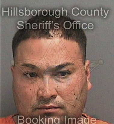 Jake Robertson - Hillsborough County, FL 