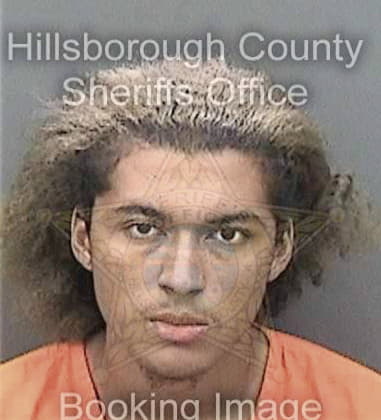 Joel Adornolopez, - Hillsborough County, FL 