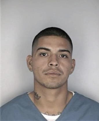 Steven Henry - Hillsborough County, FL 