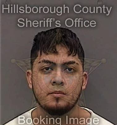 Brandon Herold - Hillsborough County, FL 