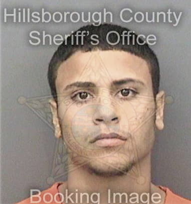 Kenneth Johnson, - Hillsborough County, FL 