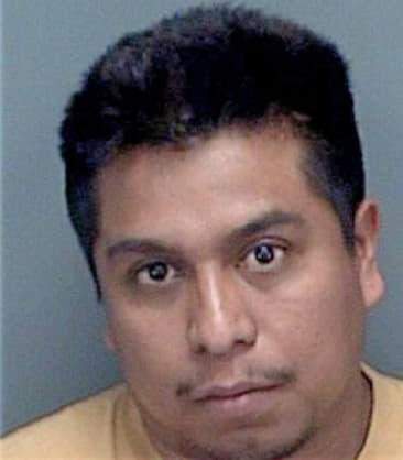 Hector Latorre, - Pinellas County, FL 