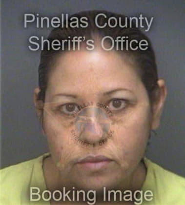 Antonia Nieves, - Pinellas County, FL 