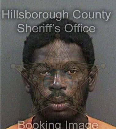 Austin Hamilton, - Hillsborough County, FL 