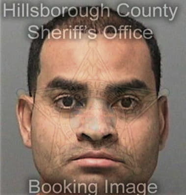 Anthony Haynes, - Hillsborough County, FL 