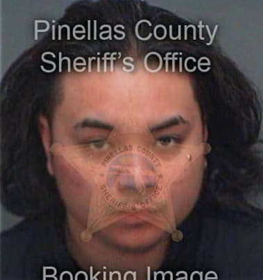 Brian Houl, - Pinellas County, FL 