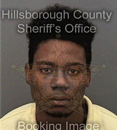 Emory Lawson, - Hillsborough County, FL 