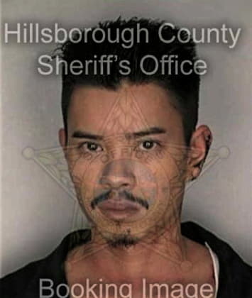 Gernard Rodriguezflores, - Hillsborough County, FL 