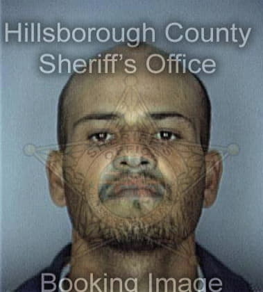 Ernesto Salinas, - Hillsborough County, FL 