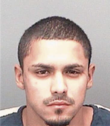 Israel Hernandez, - Pinellas County, FL 