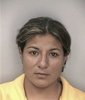 Manuela Metesil - Hillsborough County, FL 