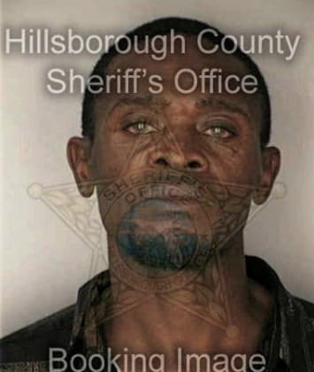 Ronald Woods, - Hillsborough County, FL 