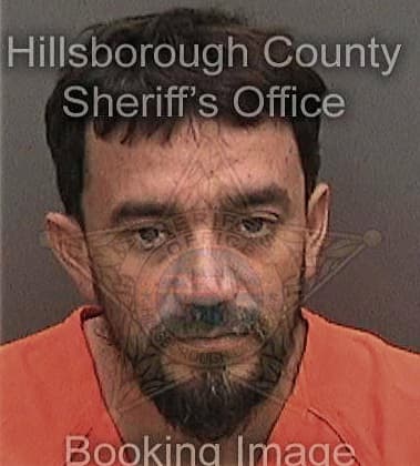 Ramon Alvarezlopez, - Hillsborough County, FL 