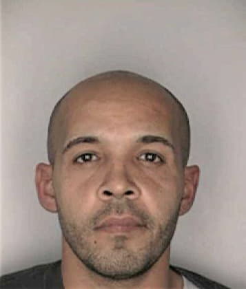 Joey Brinson - Hillsborough County, FL 