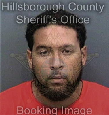 Juan Floresrohena, - Hillsborough County, FL 