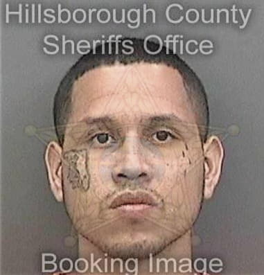 Anthony Garciachirinos, - Hillsborough County, FL 