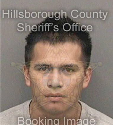 Damian Glowaty, - Hillsborough County, FL 