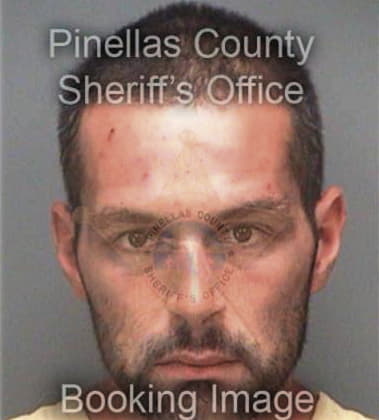 David Mattull - Pinellas County, FL 
