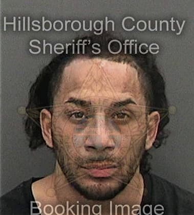 Willard Minor - Hillsborough County, FL 