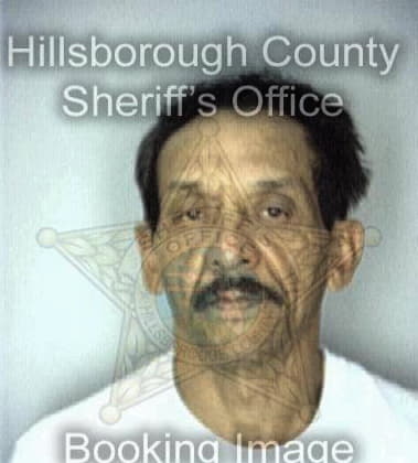 Carlos Ortegagarrido, - Hillsborough County, FL 