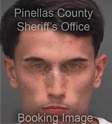 Dennis Zimmerman, - Pinellas County, FL 