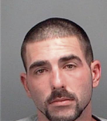 Nicholas Lamanna, - Pinellas County, FL 