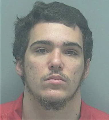 Michael Mann, - Lee County, FL 