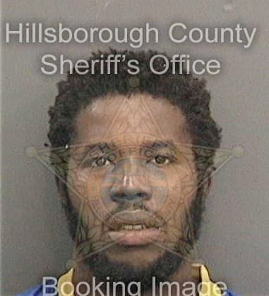 Ernst Rebeca, - Hillsborough County, FL 