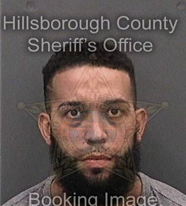 James Singletary, - Hillsborough County, FL 