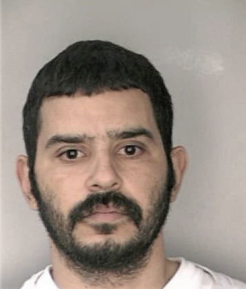 Nicholas Bolin - Hillsborough County, FL 