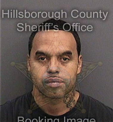 Scott Houston, - Hillsborough County, FL 