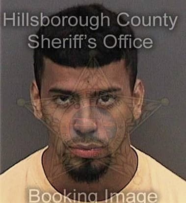 Lazaro Viera, - Hillsborough County, FL 