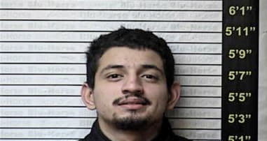 Luis-Alberto Amador-, - Graves County, KY 