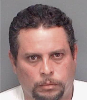 Ramon Delacruzalejo, - Pinellas County, FL 