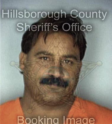 Jose Dominguez, - Hillsborough County, FL 