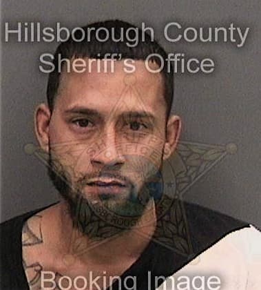 Mitchel Figueroa-Pacheco, - Hillsborough County, FL 