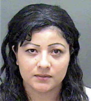 Irma Lopez, - Mecklenburg County, NC 