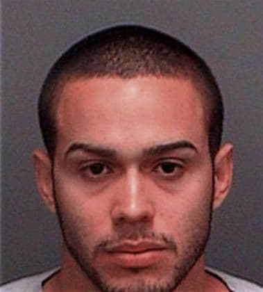 Rafael Rodriguezmurillo, - Pinellas County, FL 