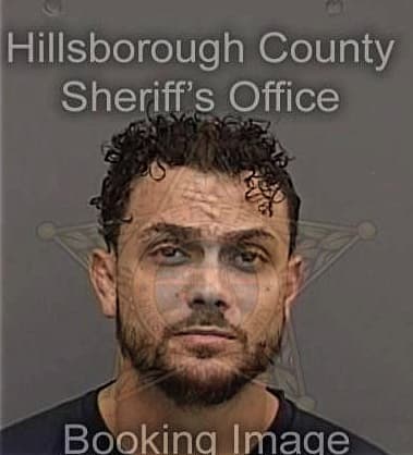 Santiago Torres, - Hillsborough County, FL 