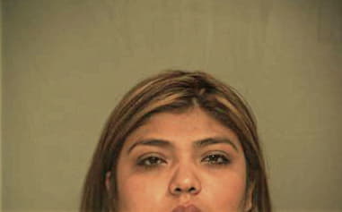 Sylvia Andaverde, - Hidalgo County, TX 