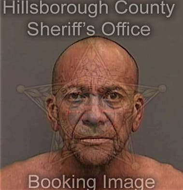 Yasser Barramedaperez, - Hillsborough County, FL 