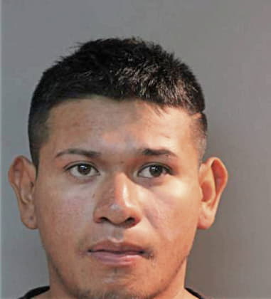 Reinaldo Burgos, - Polk County, FL 